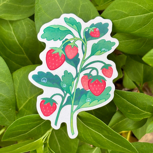 Strawberry Sticker