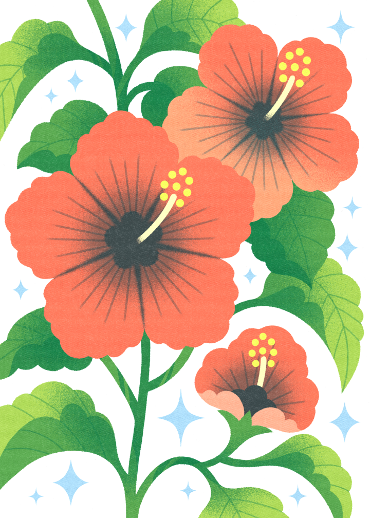 Hibiscus Risograph Print
