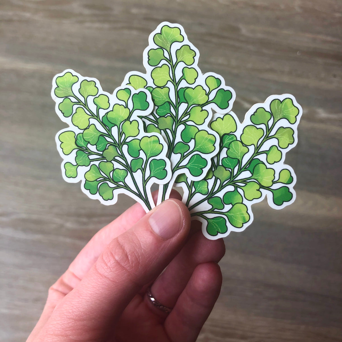Maidenhair Fern Sticker