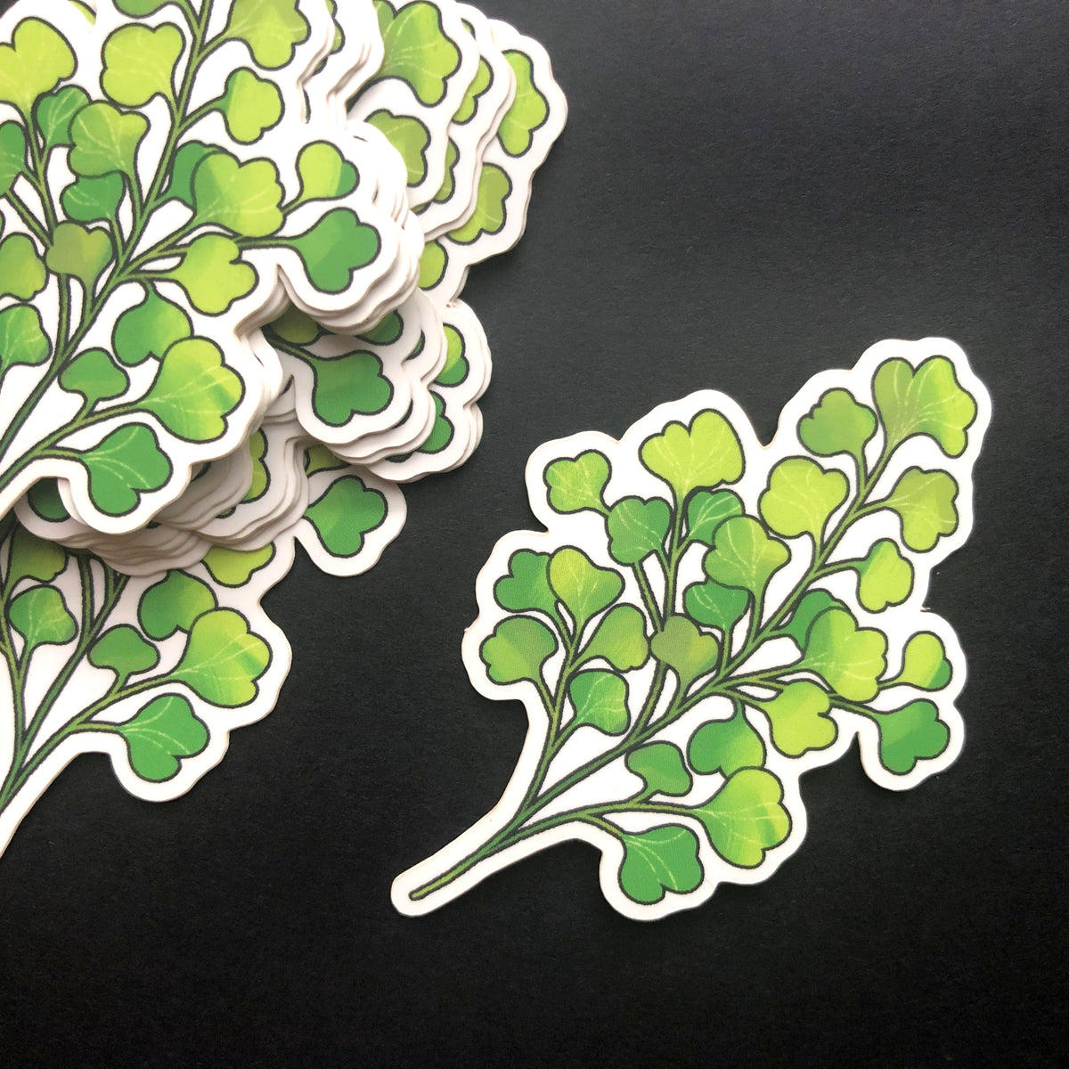 Maidenhair Fern Sticker