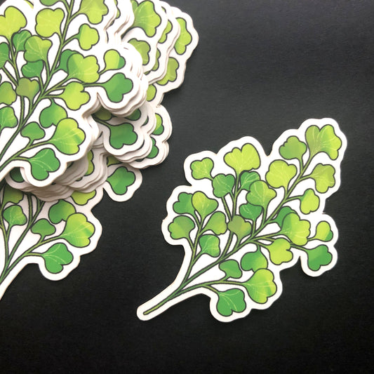 Maidenhair Fern Sticker